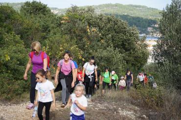 Stajun od lumblije zatvoren usponom na Hum