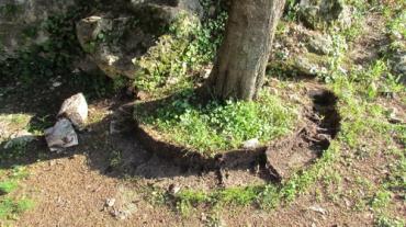 Vandalizam kod Vele spile