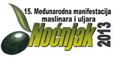 Održan jubilarni 15. Noćnjak