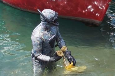 Uređenje lokalnih plaža i akcija čišćenja podmorja
