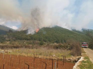 Požar na području Općine Smokvica